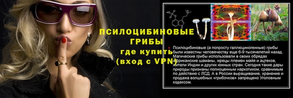 2c-b Бородино
