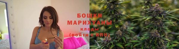 2c-b Бородино