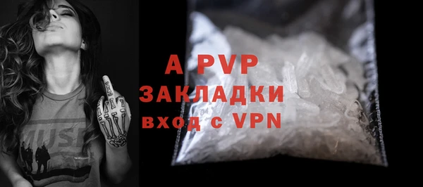 2c-b Бородино