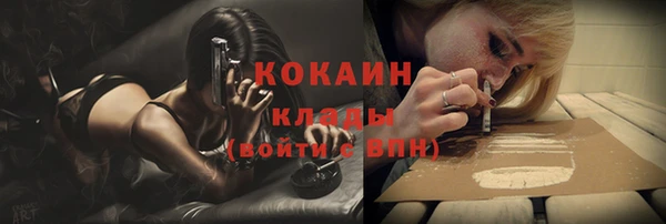 бошки Бронницы