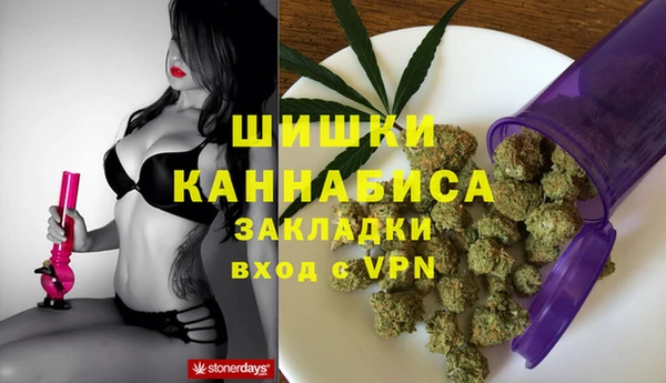 бошки Бронницы