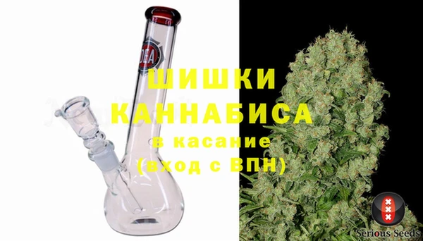 бошки Бронницы