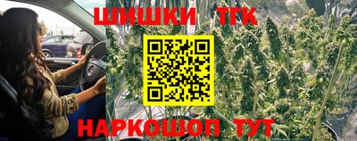 шишки Волжский