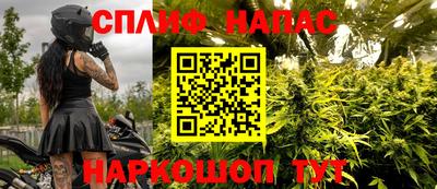шишки Волжский
