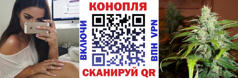 Канабис Ganja  Дедовск 