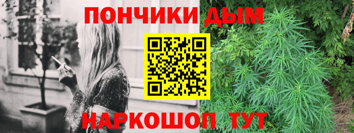 Канабис планчик Дедовск